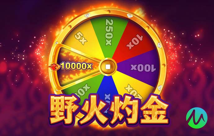 半岛综合官网