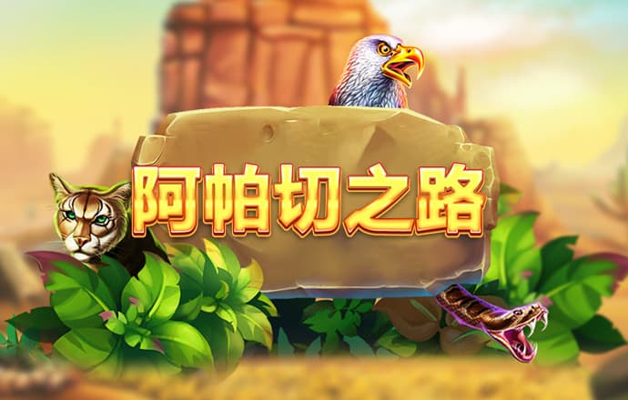 55世纪官网